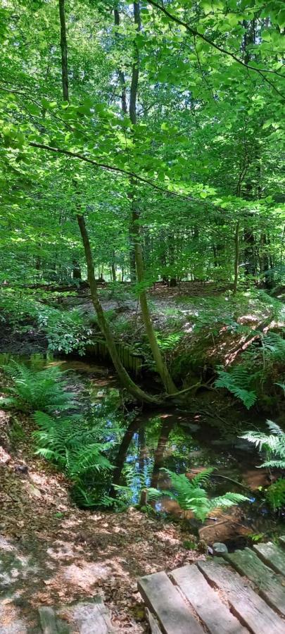 'T Uiltje Villa Ermelo Esterno foto